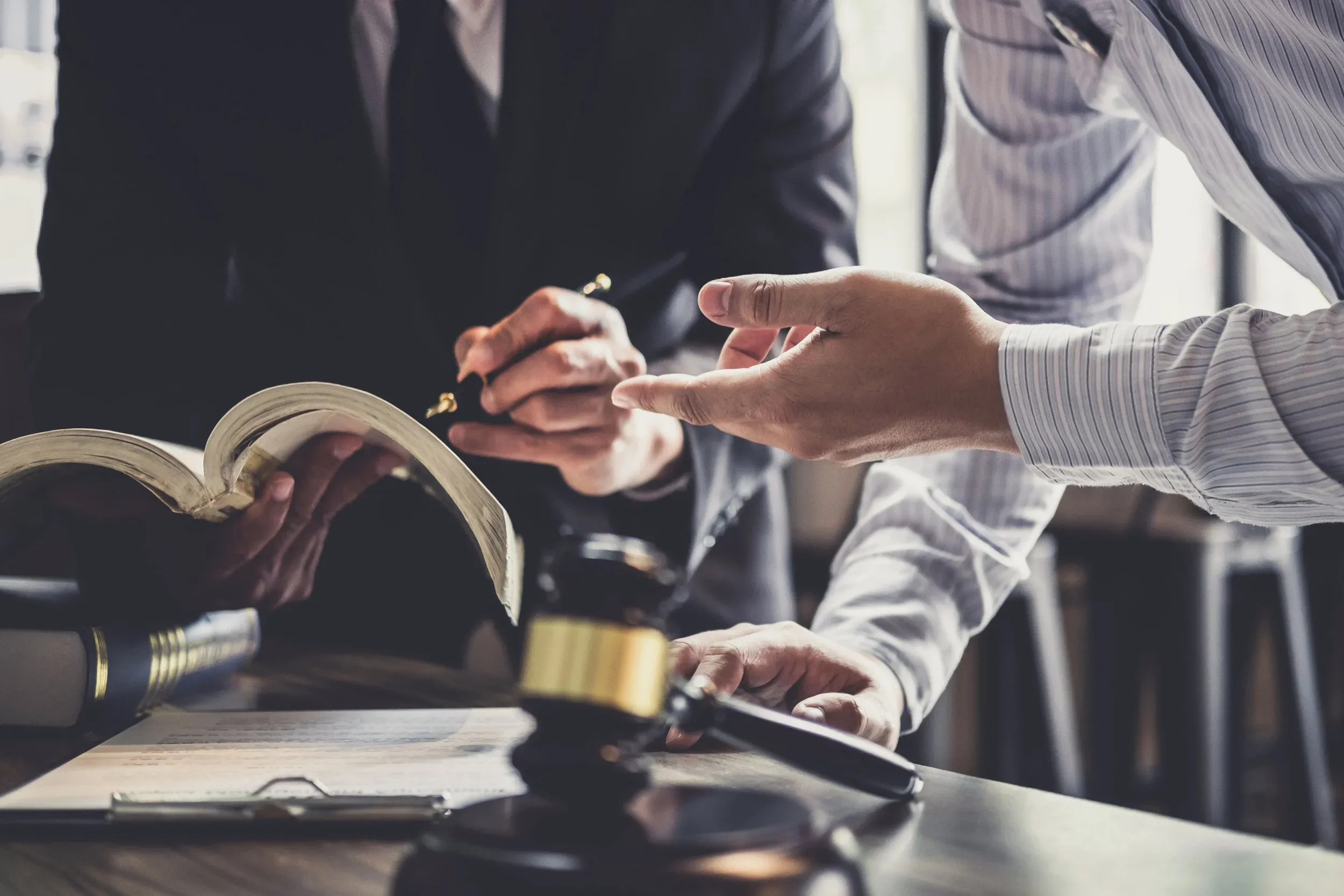 litigation support and expert witness